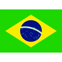 IMA FLEXIVEL 0,8 MM - BANDEIRA BRASIL